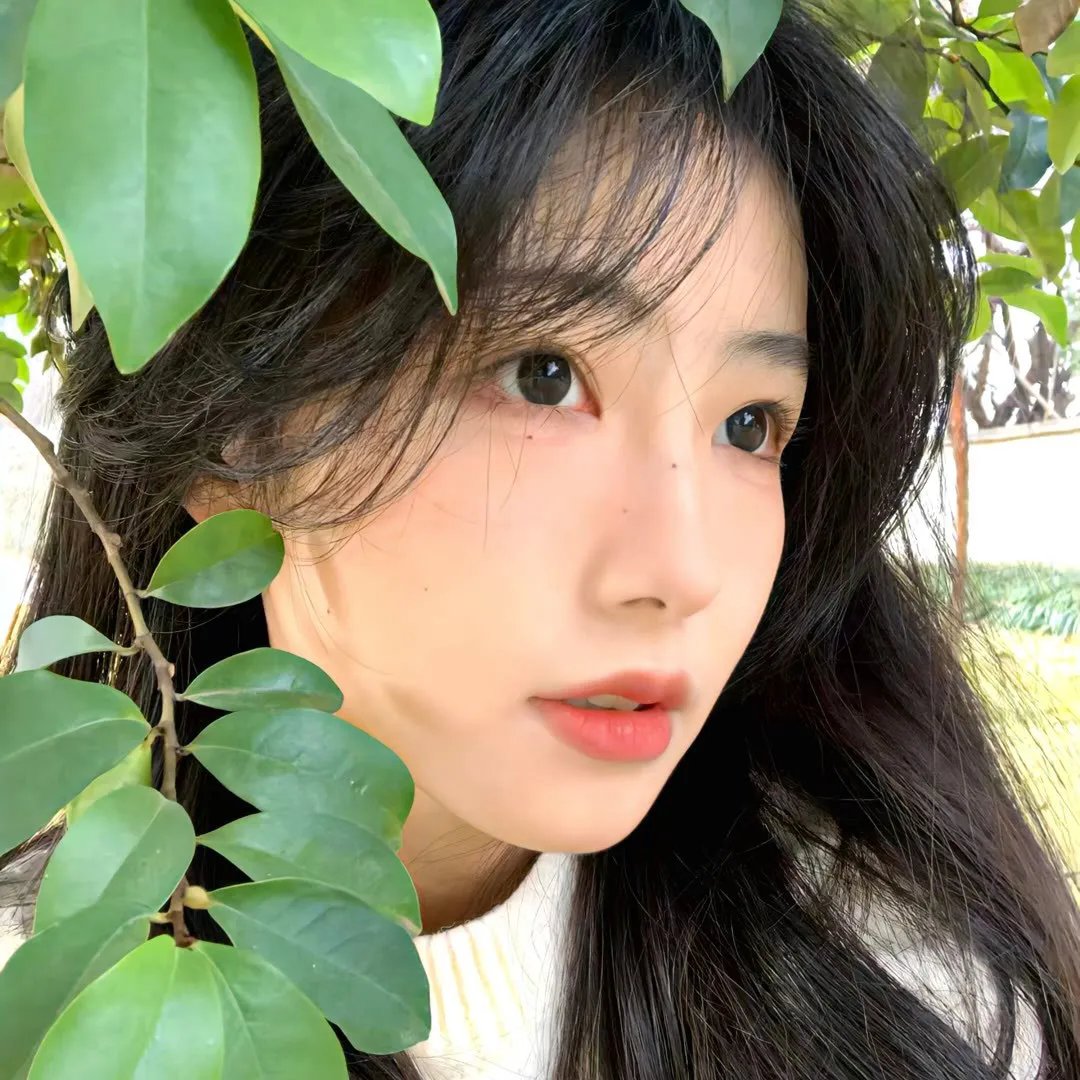 你是我的夏至未央